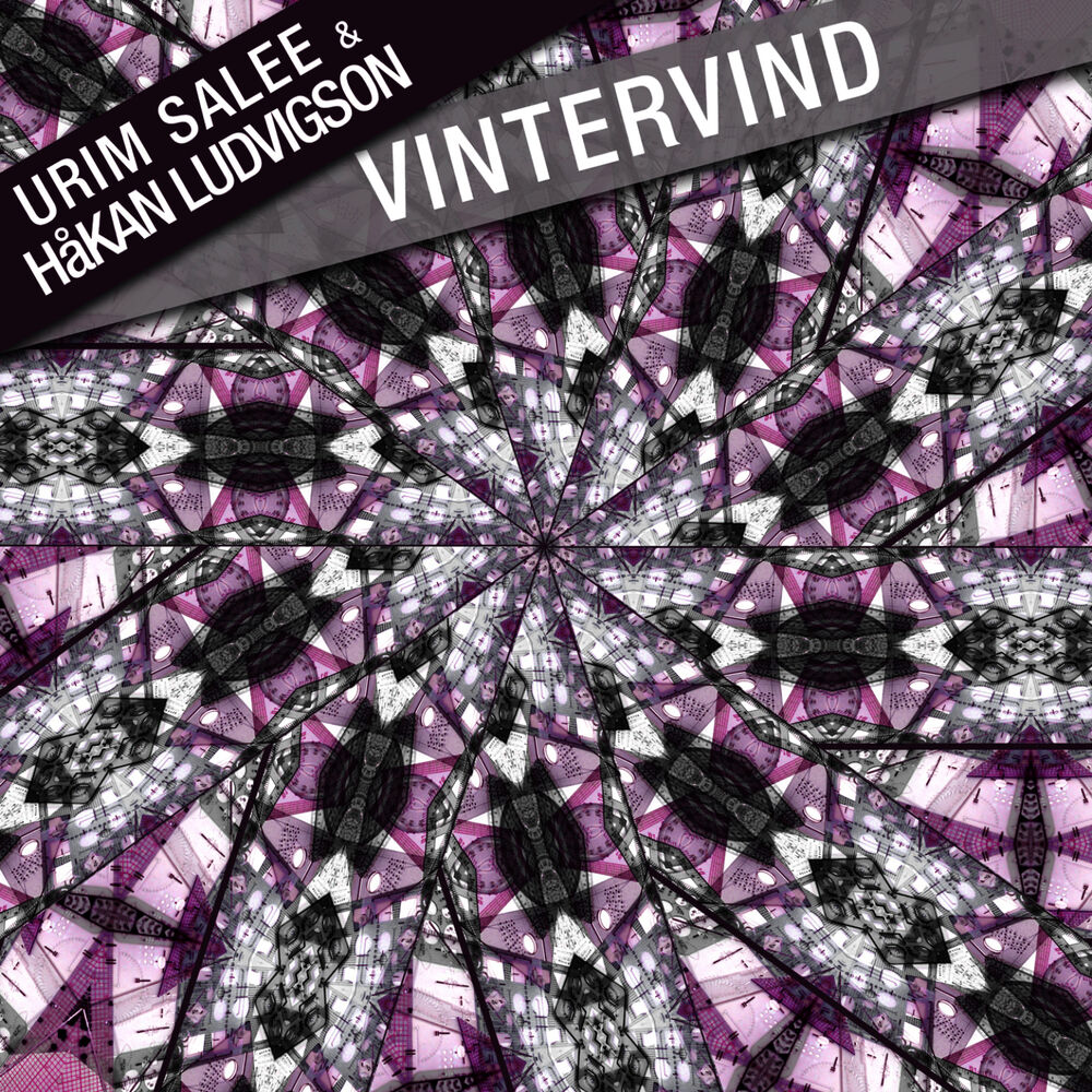 Picture of Vintervind - Single