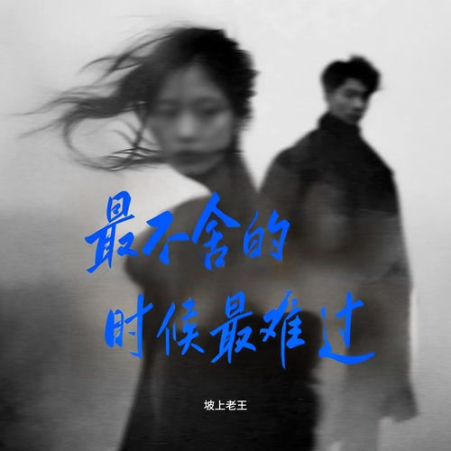 最不舍的时候最难过