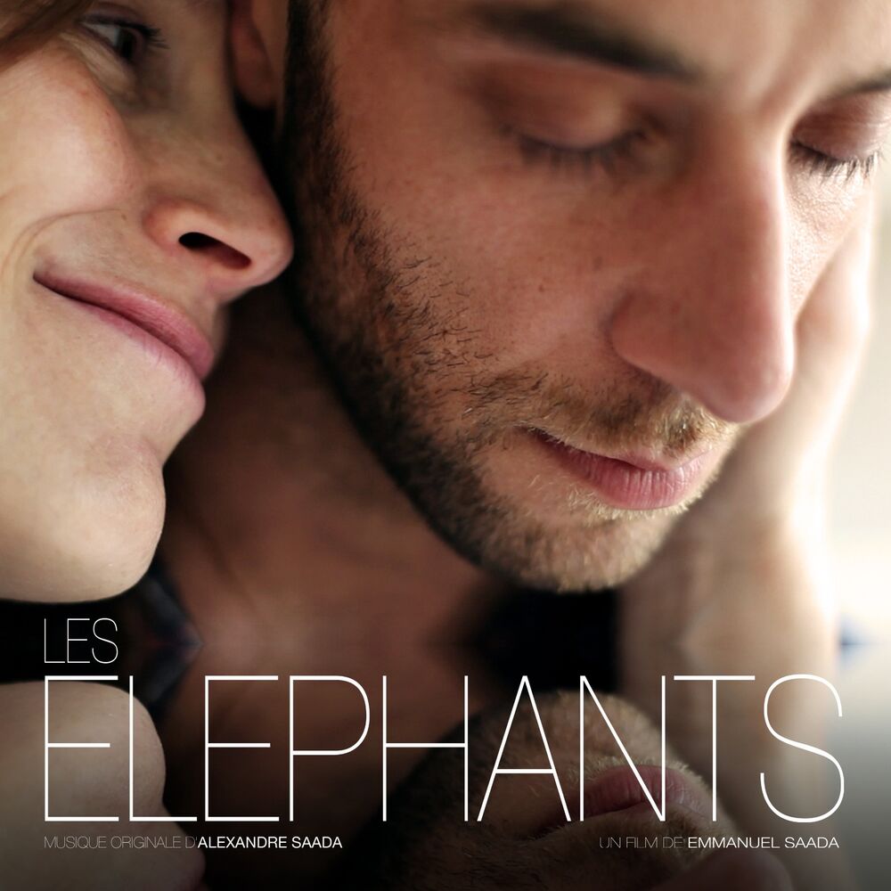 Picture of Les éléphants