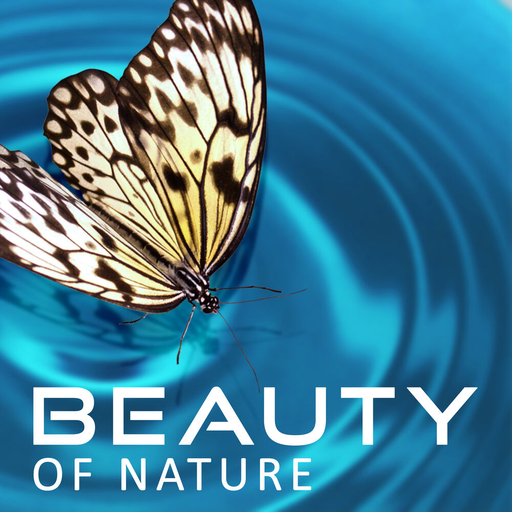 Picture of Beauty of Nature – Peaceful Sounds of Nature, Relax and Take a Break of Life for a Moment