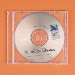 Cover of Indescribable