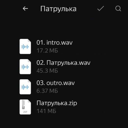 Патрулька