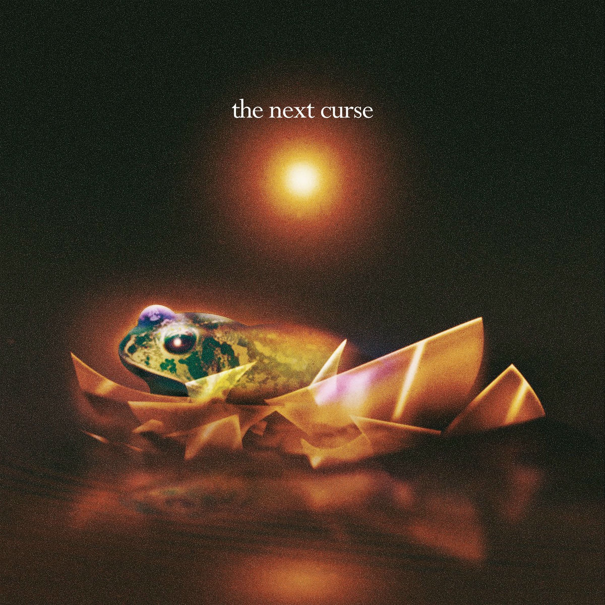 Album cover of The Next Curse