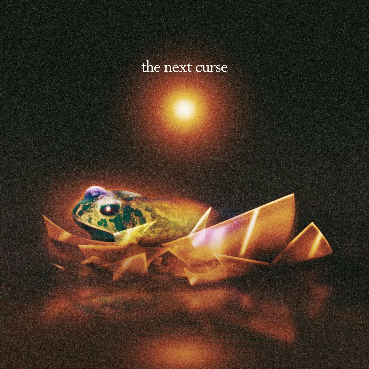Album cover of The Next Curse