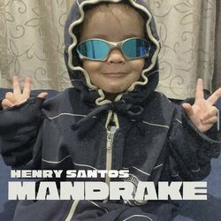 Cover of Mandrake