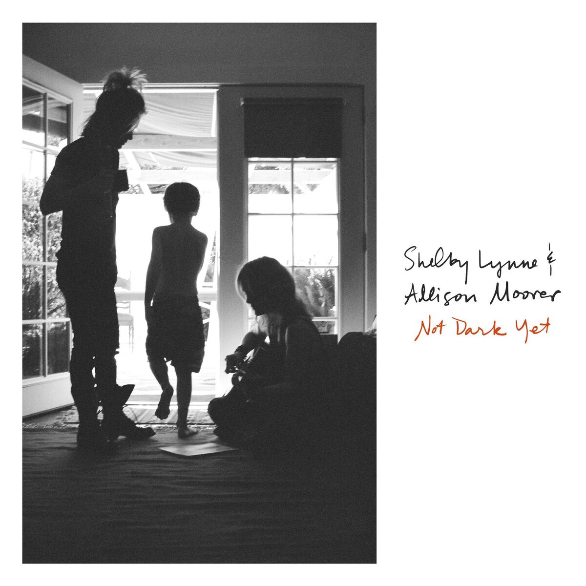 Album cover of Not Dark Yet