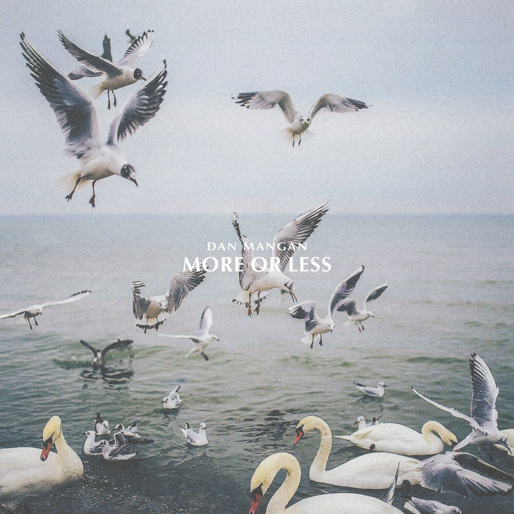 Picture of More Or Less