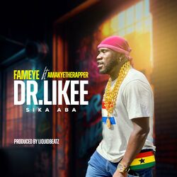 Cover of Dr Likee (Sika Aba)