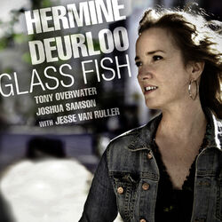 Cover of Glass Fish