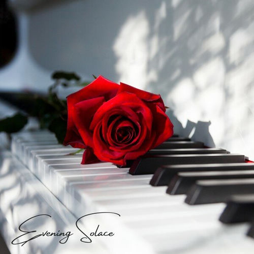 Evening Solace