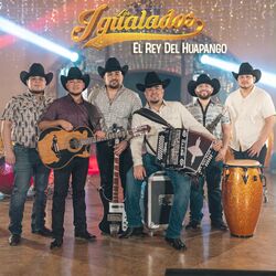 El Rey del Huapango (Live)