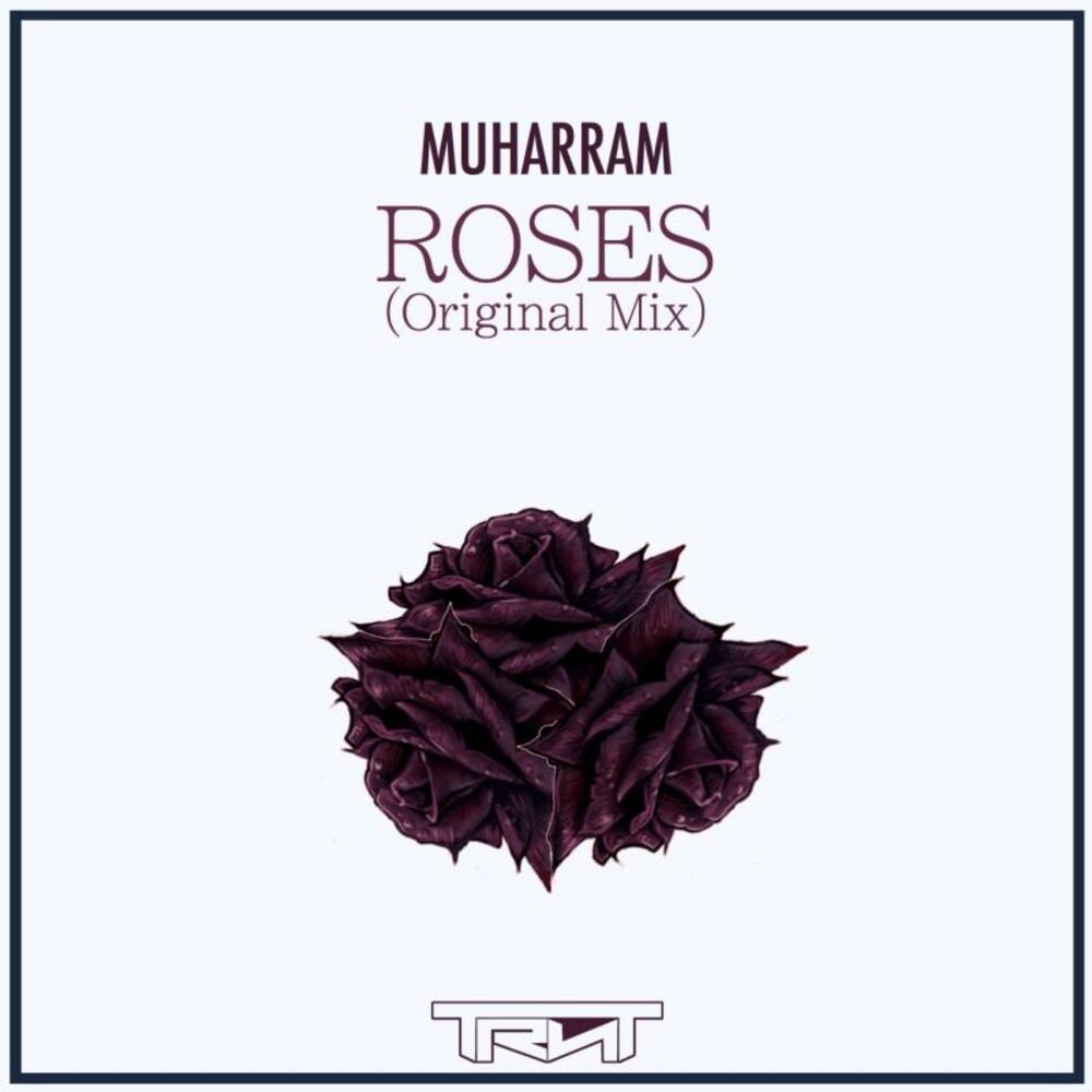 Picture of Roses