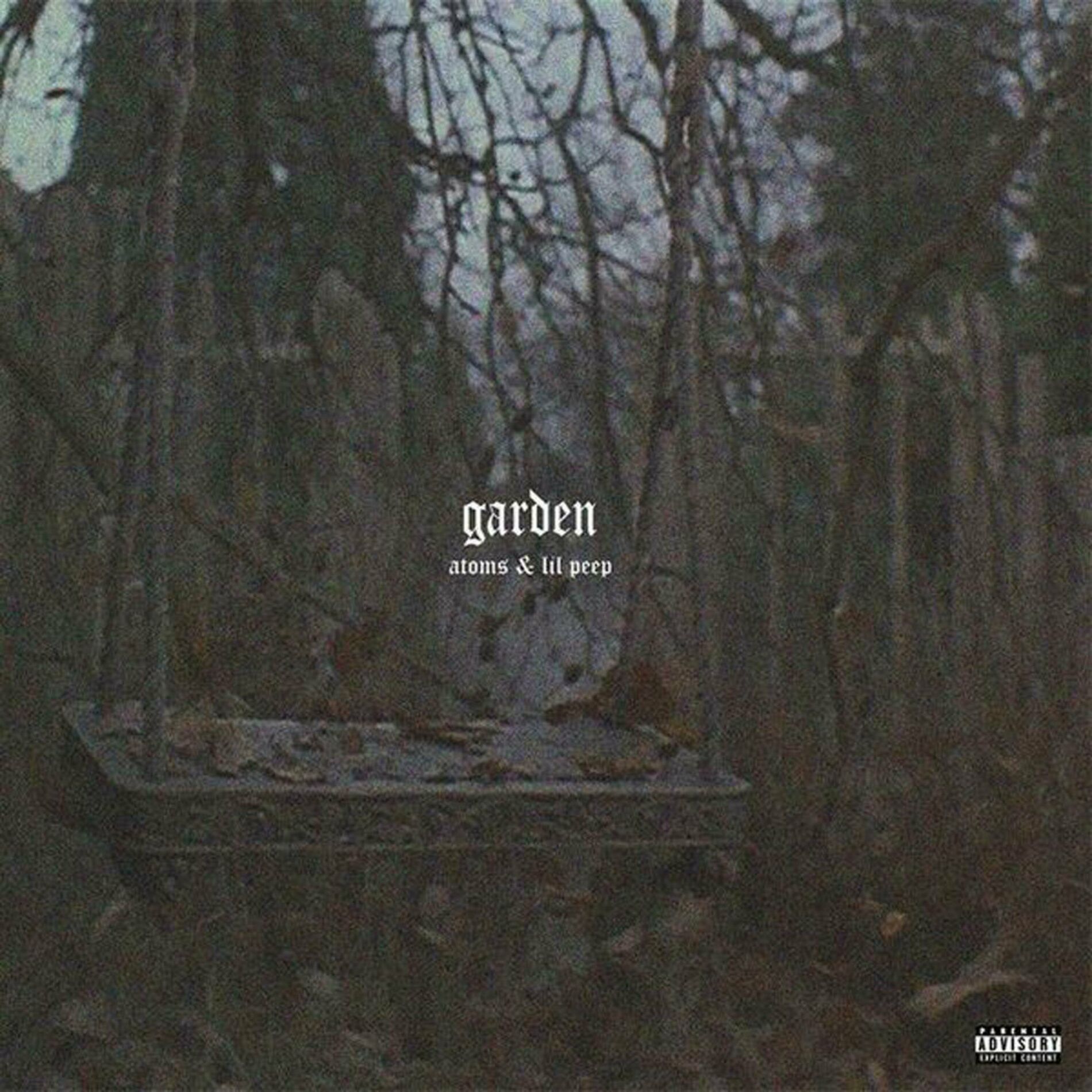 Album cover of FUCK BATMANE (feat. Lil Peep)