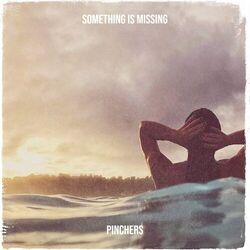 Cover of Something Is Missing
