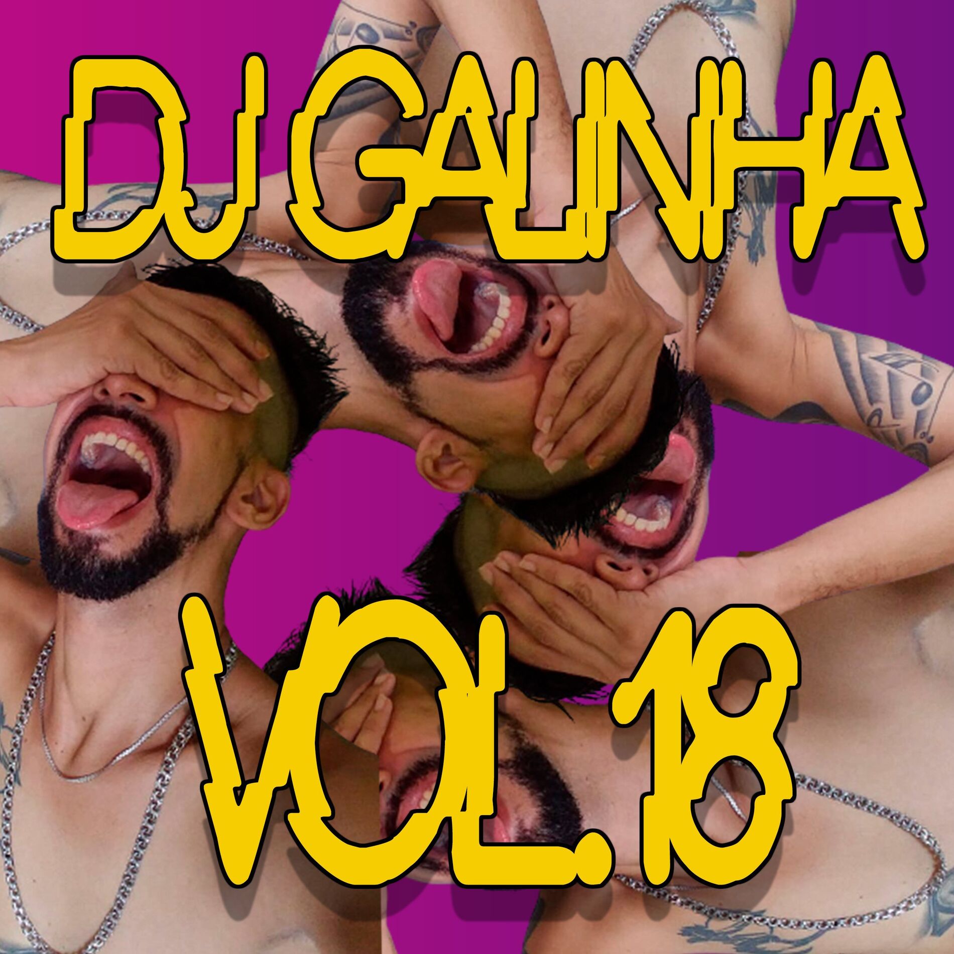 Album cover of DJ Galinha Vol 18 (Album)
