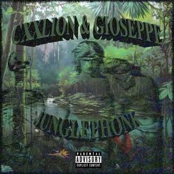 Cover of Junglephonk