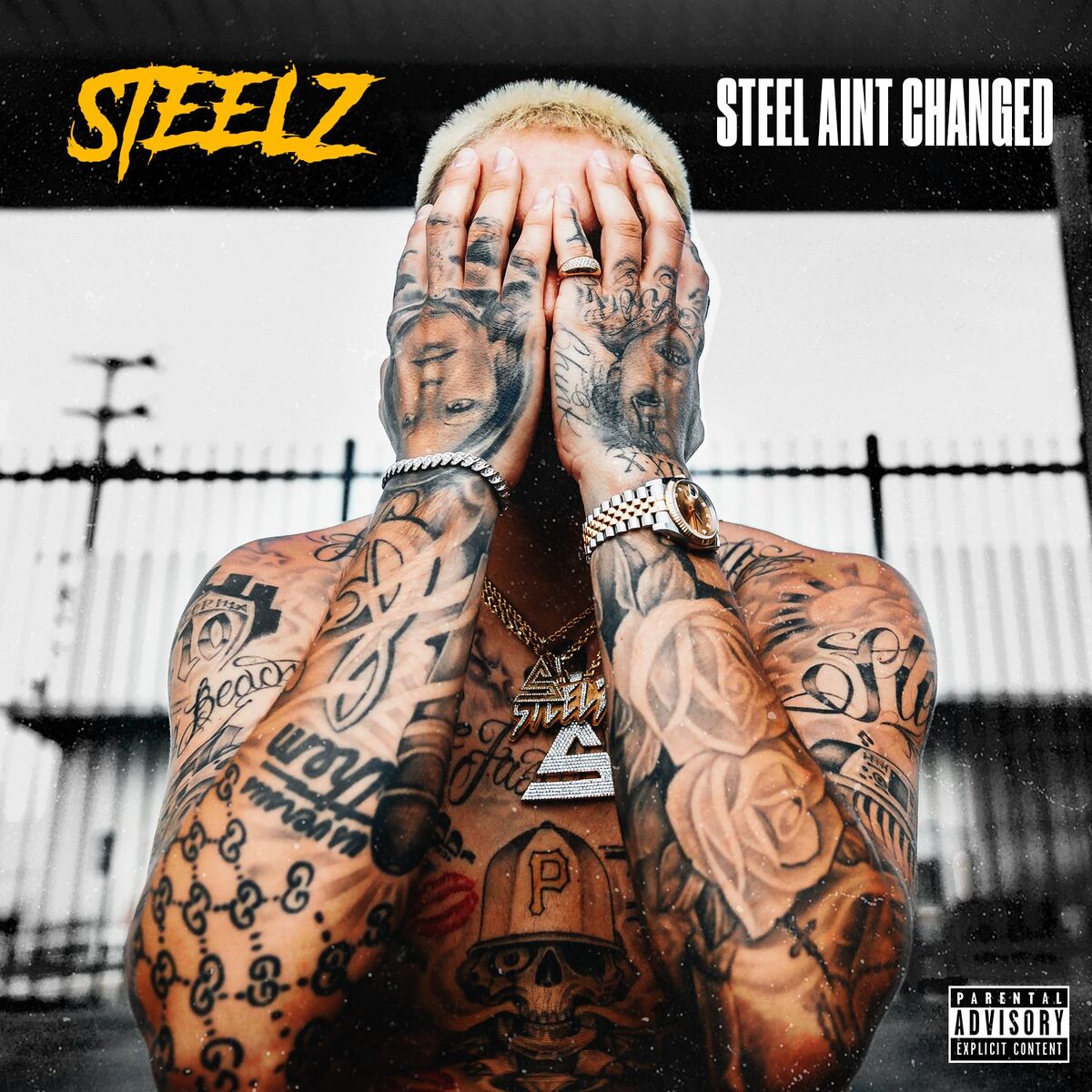 Album cover of Slang D