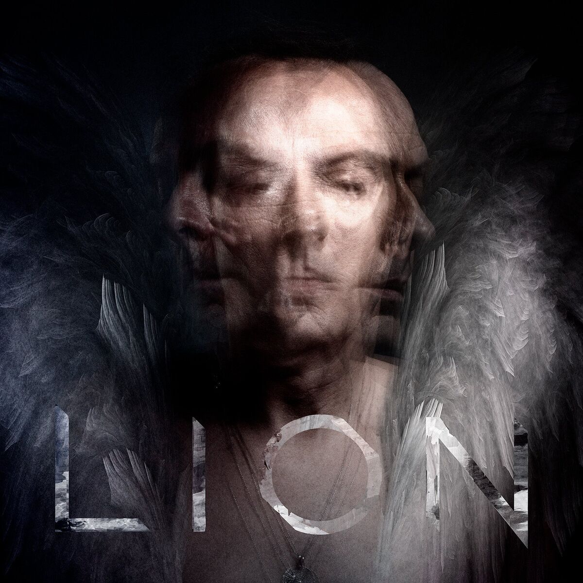 Album cover of Lion
