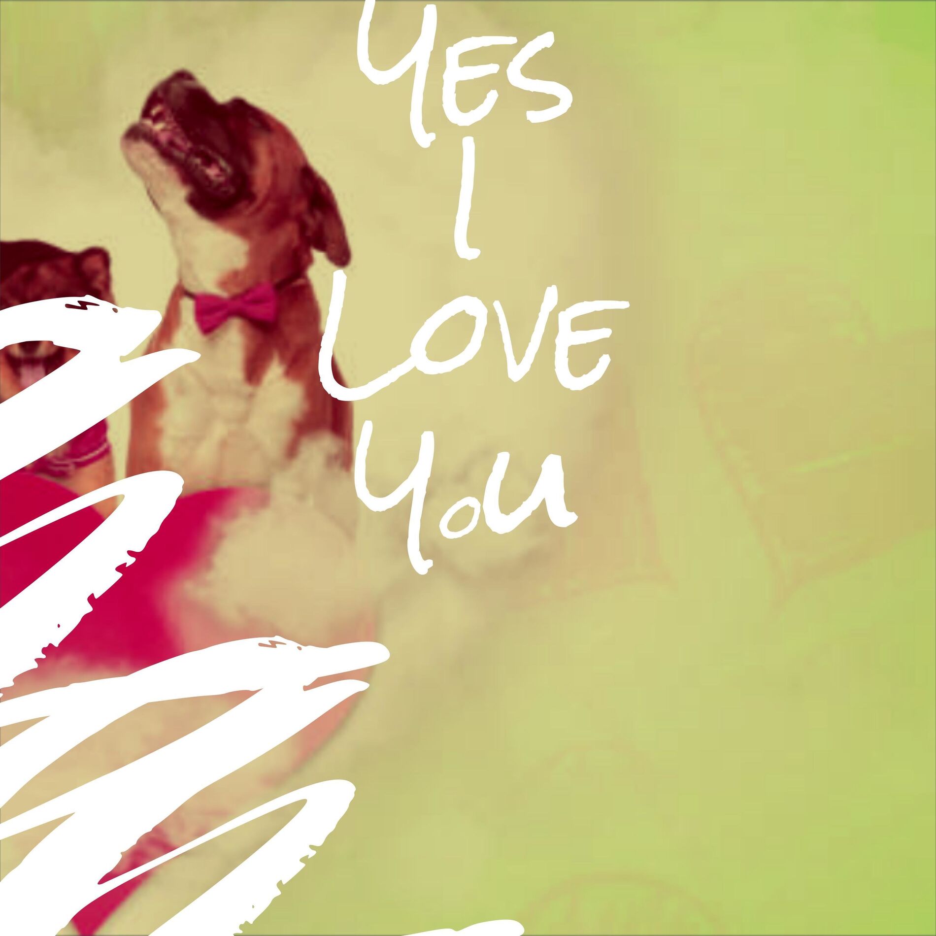 Album cover of Yes I Love You