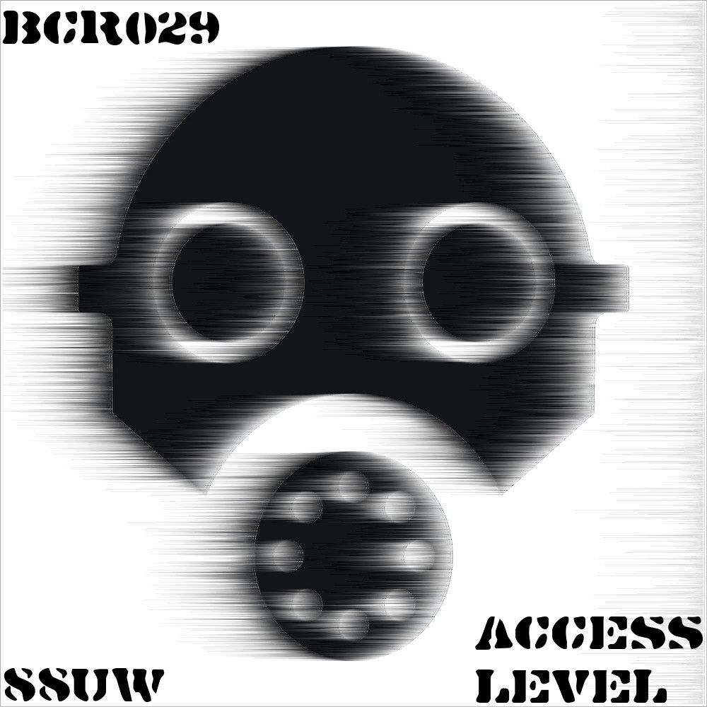 Picture of Access Level