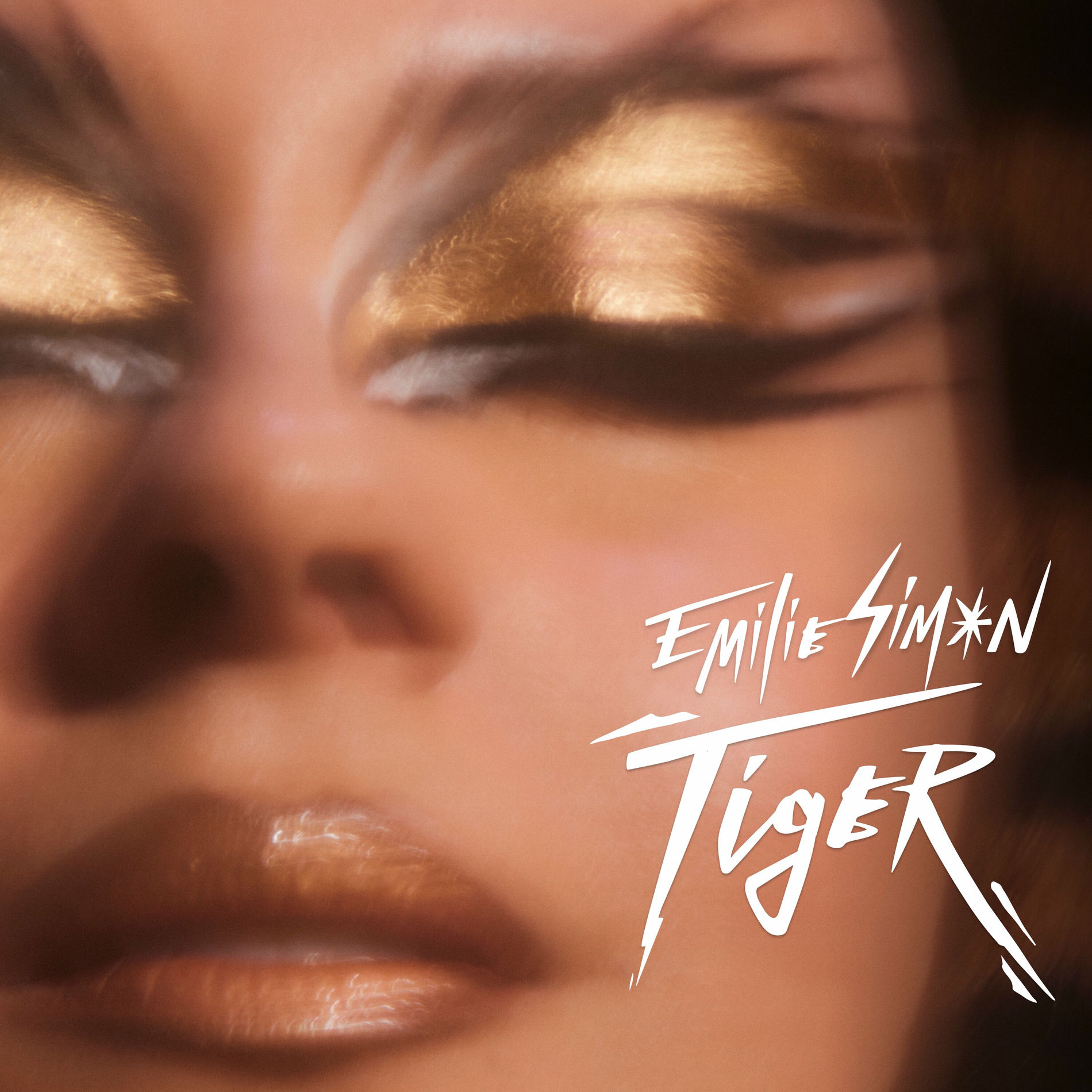 Album cover of Tiger