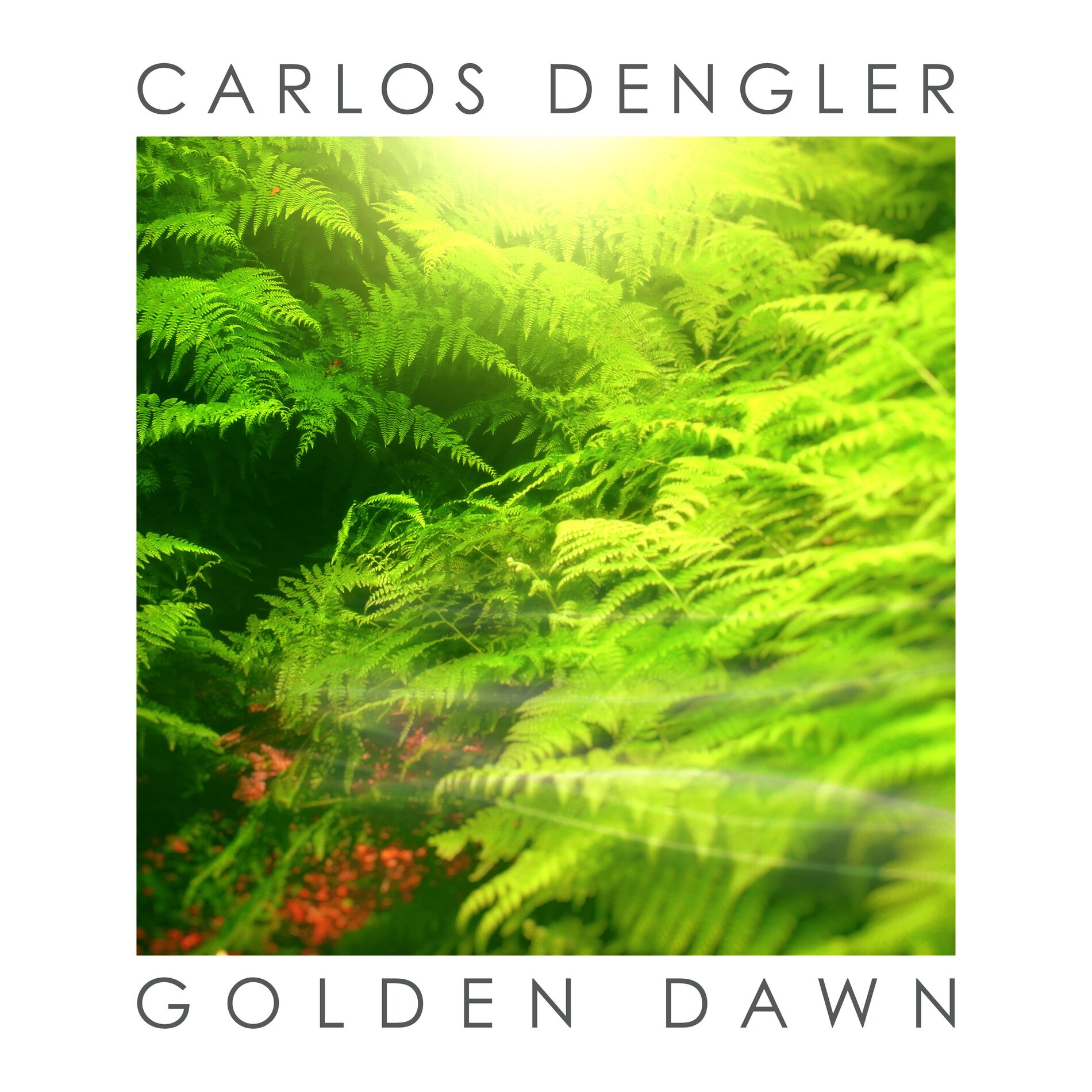 Album cover of Golden Dawn (Single Version)