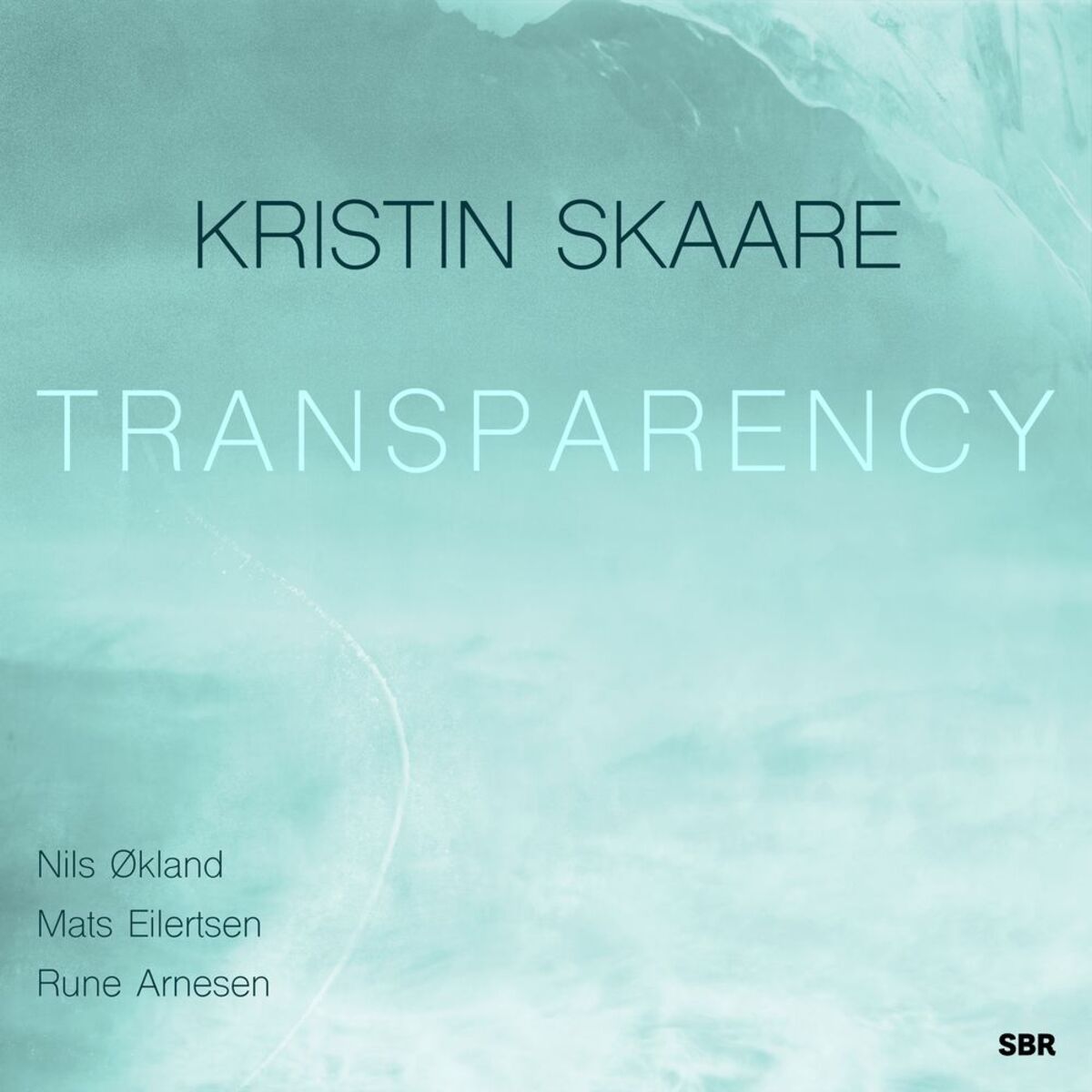 Album cover of Transparency (Single Edit)