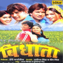 Cover of Vidhata Bhojpuri (Original Motion Picture Soundtrack)