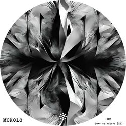 Cover of Dawn of echoes