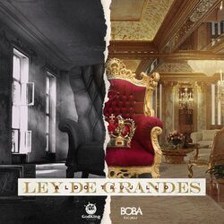 Cover of Ley De Grandes