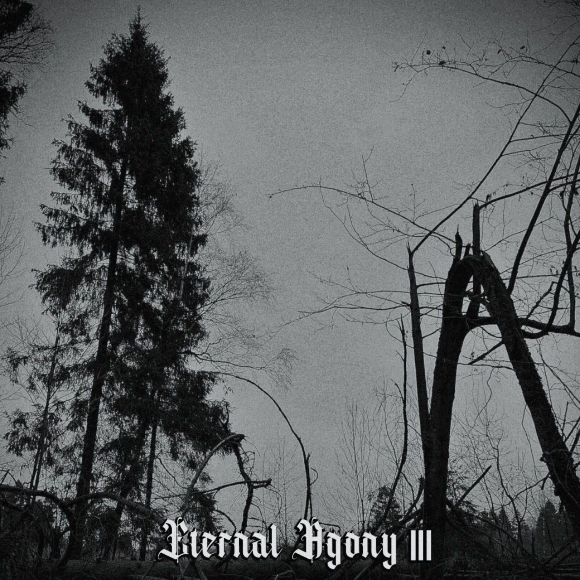 Album cover of Eternal Agony III