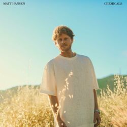 Cover of CHEMICALS