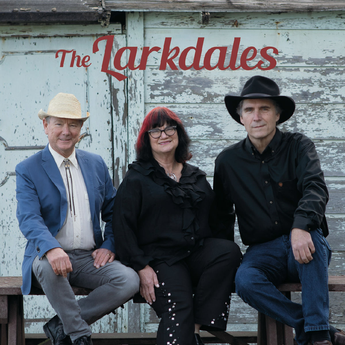 Album cover of The Larkdales