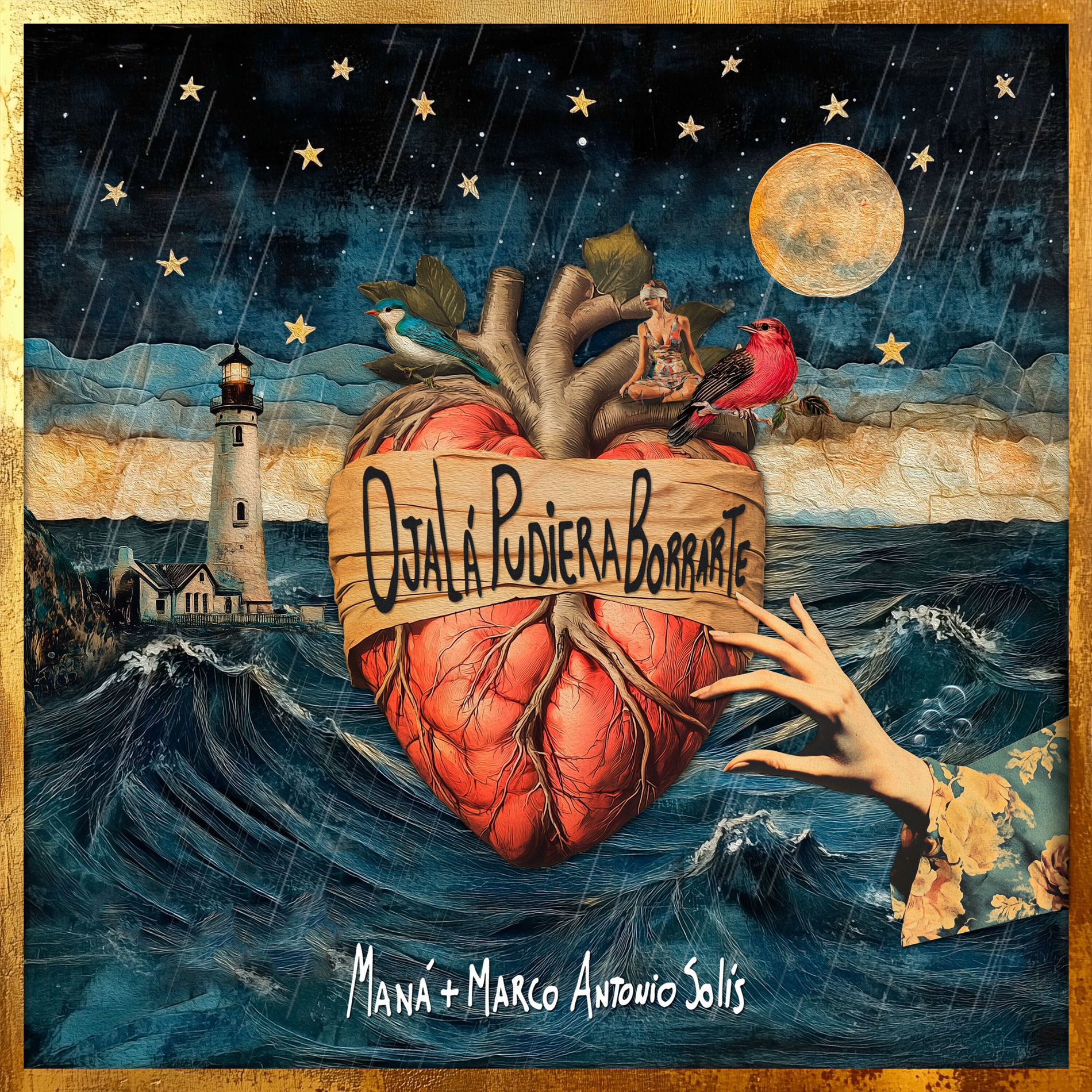 Album picture of Ojalá Pudiera Borrarte