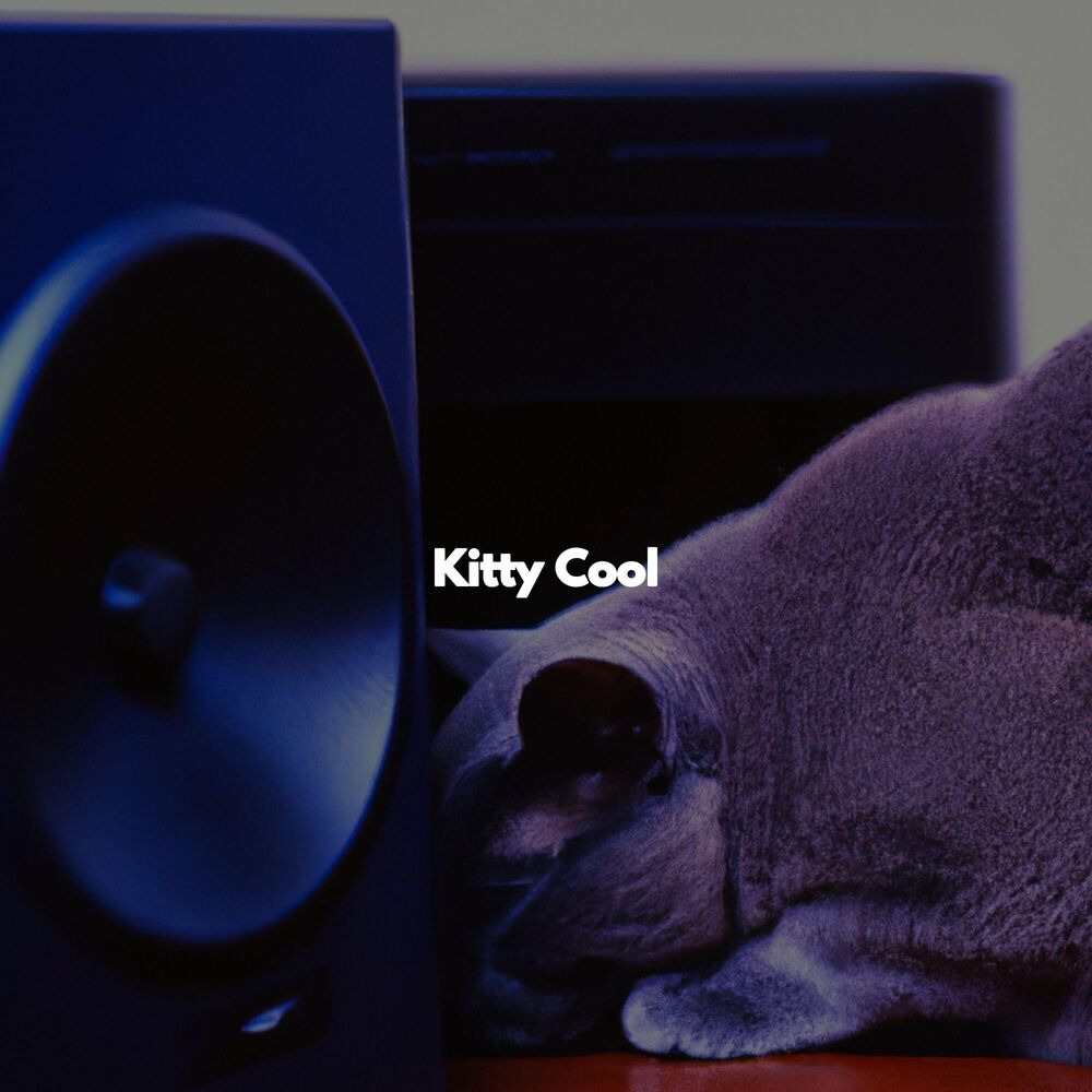 Picture of Kitty Cool