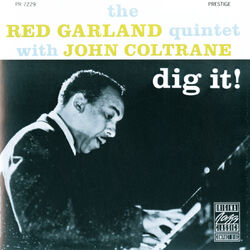 Cover of Dig It!