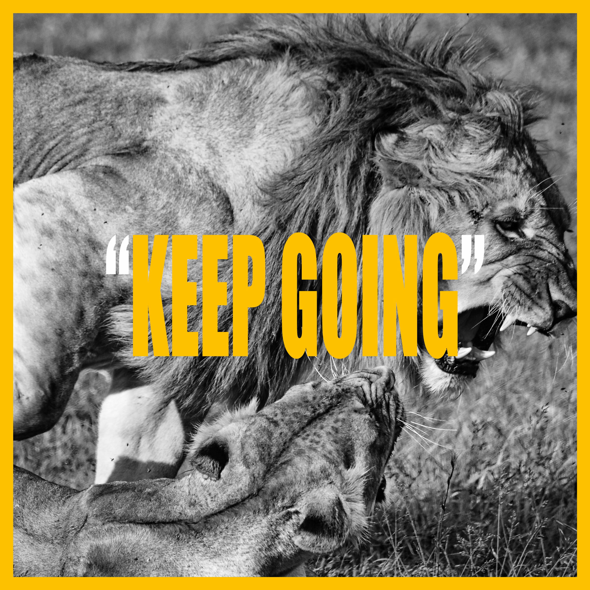 Album cover of KEEP GOING