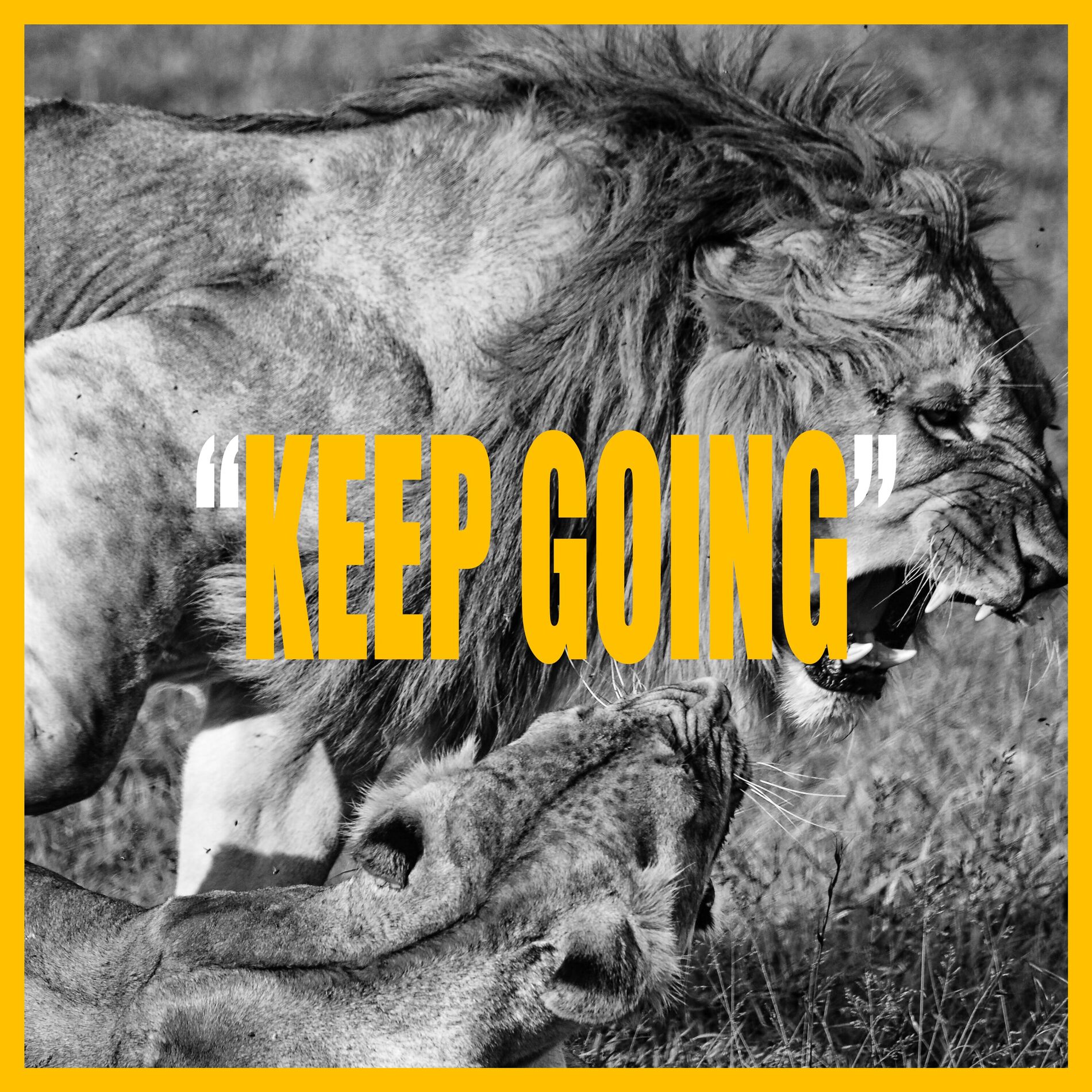 Album cover of KEEP GOING