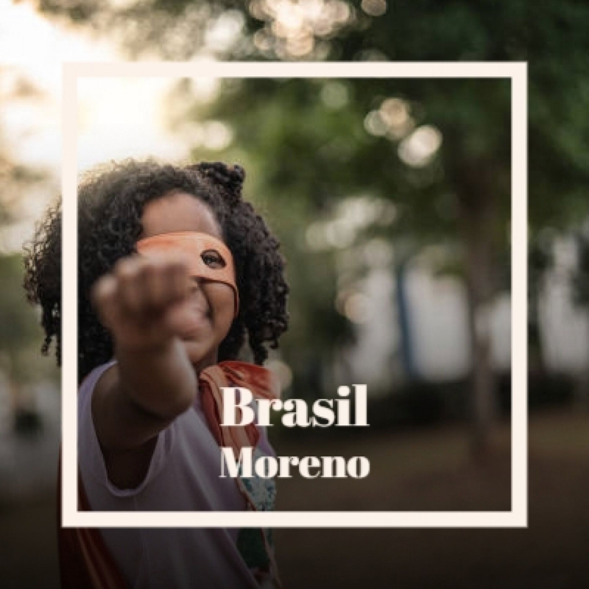 Album cover of Brasil Moreno