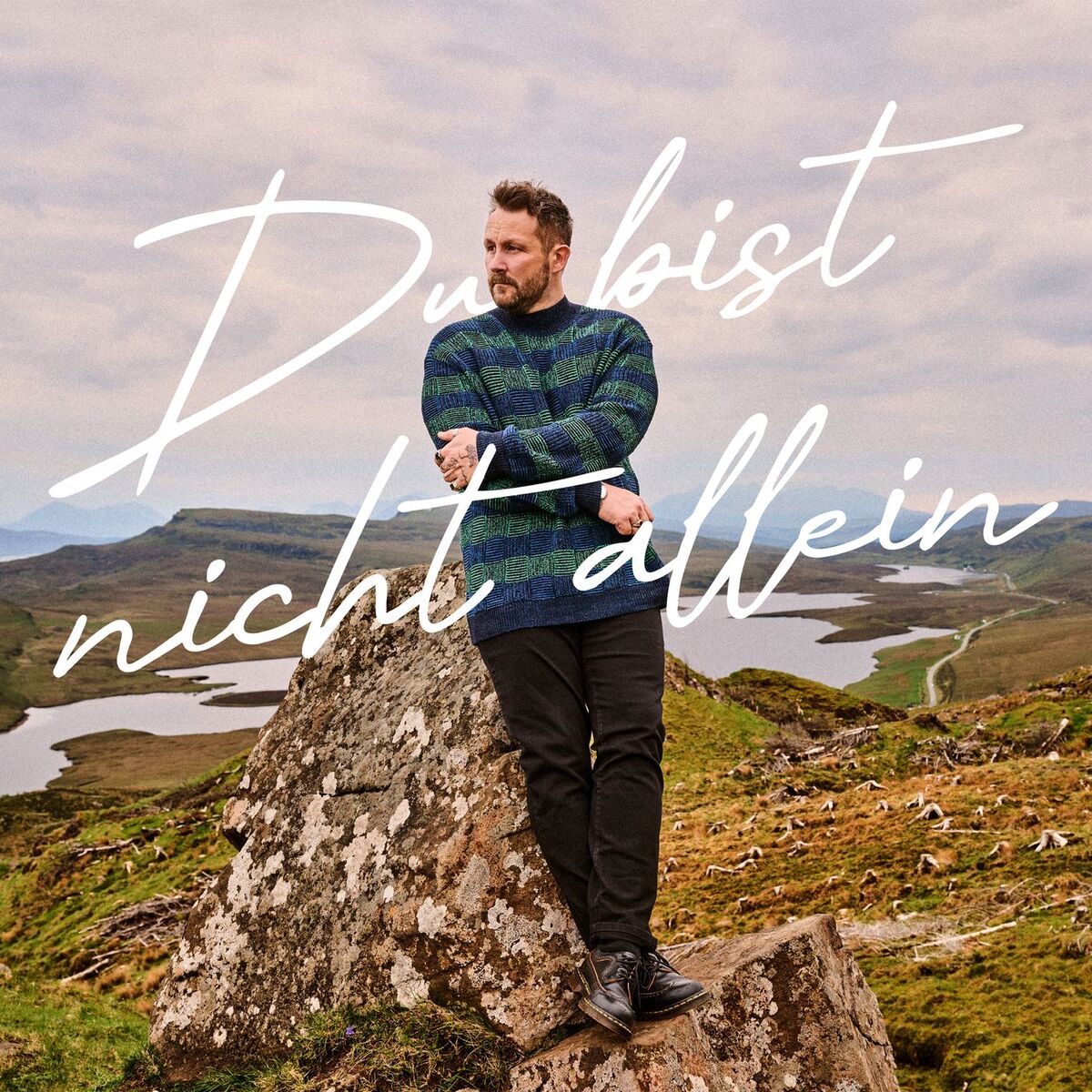 Album cover of Du bist nicht allein