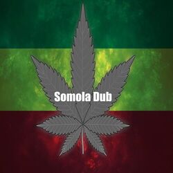 Cover of Dub It