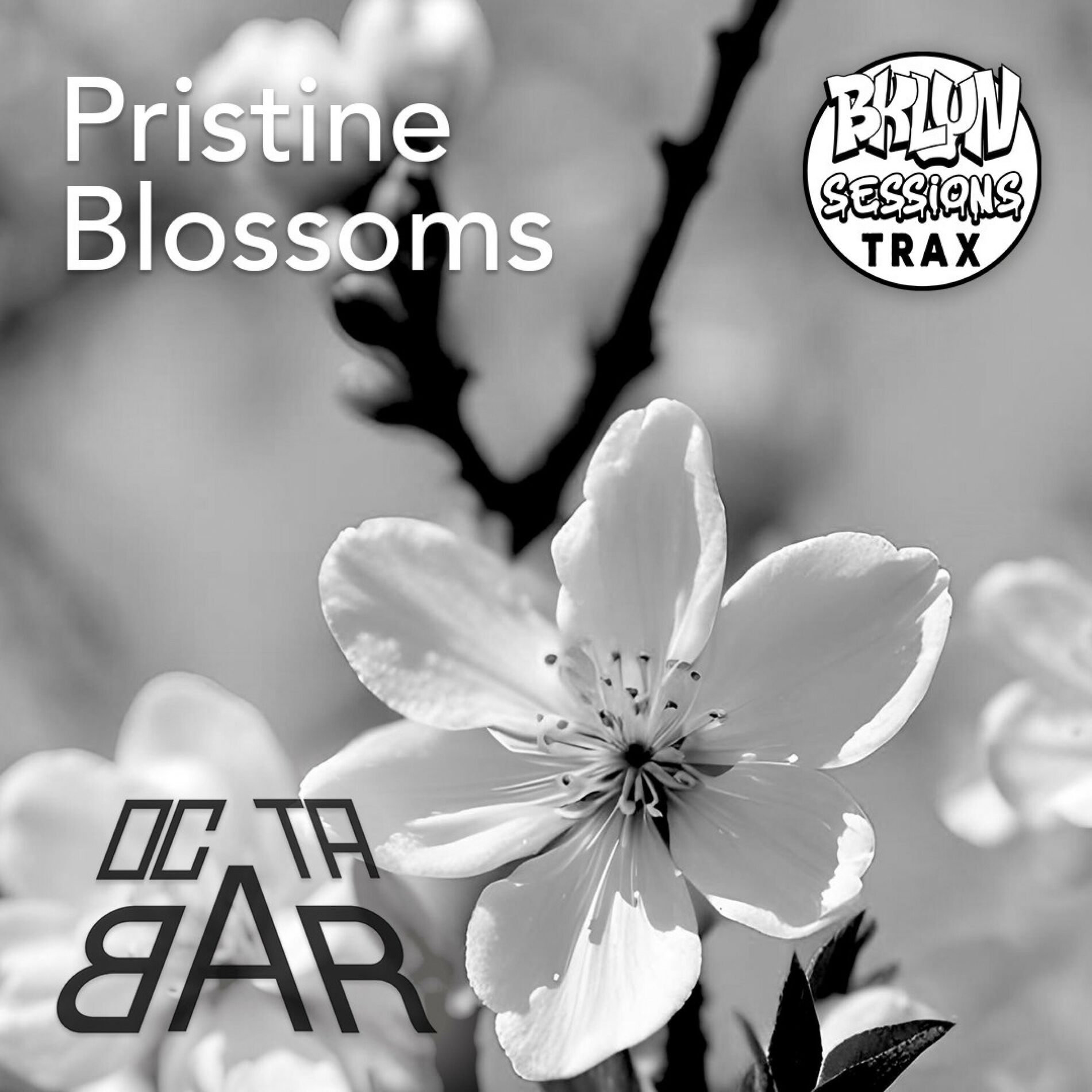 Album cover of Pristine Blossoms
