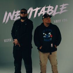 Cover of Inevitable