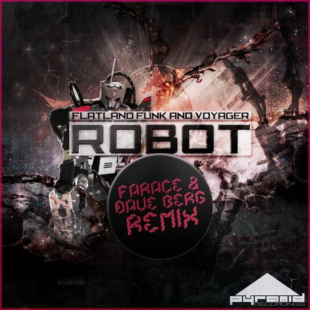 Picture of Robot