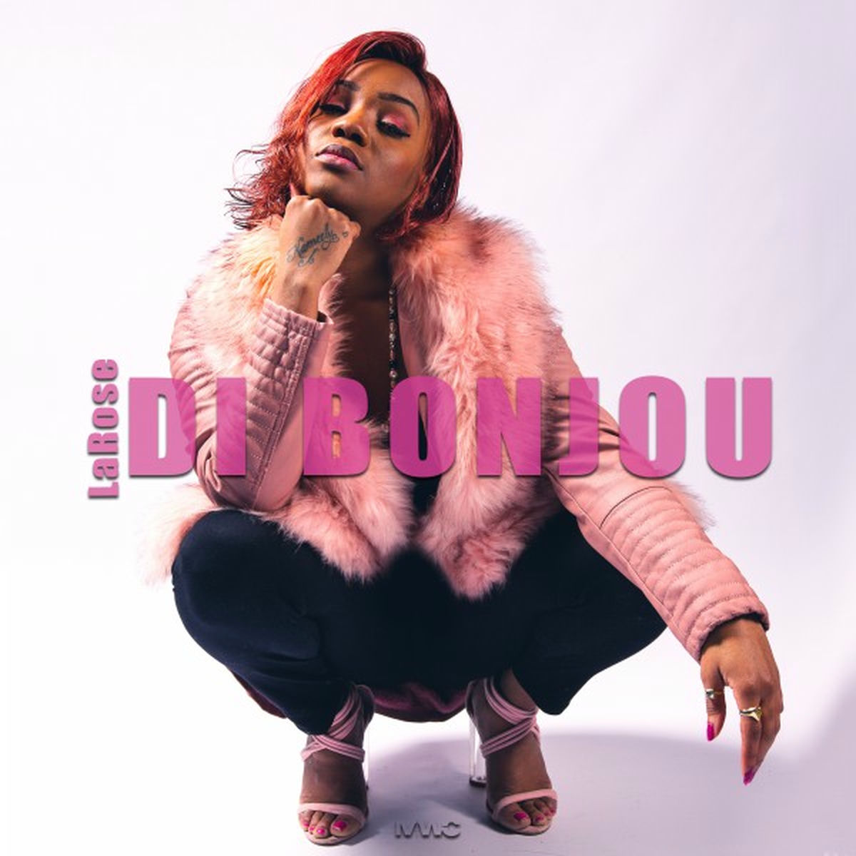 Album cover of Di Bonjou