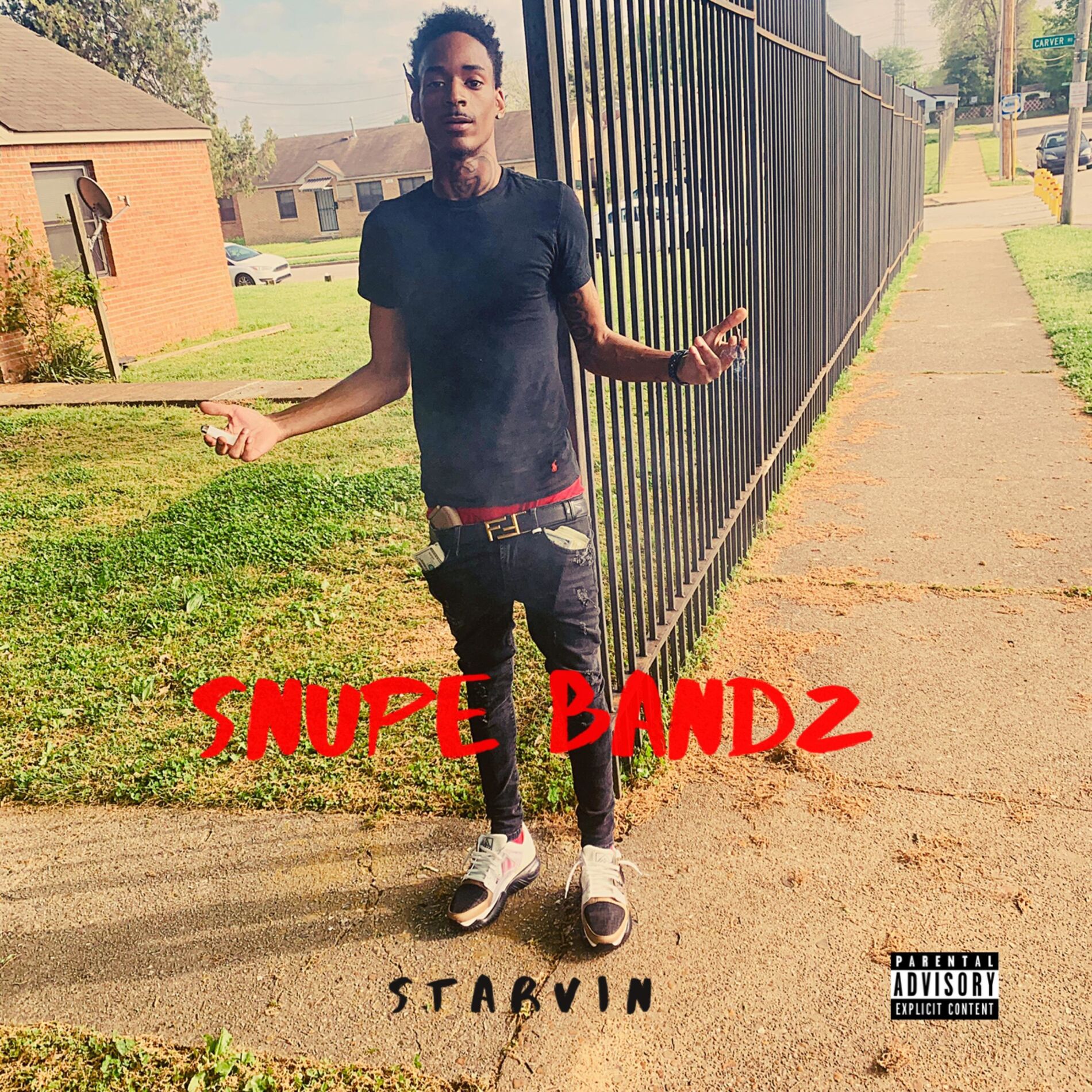 Album cover of STARVIN