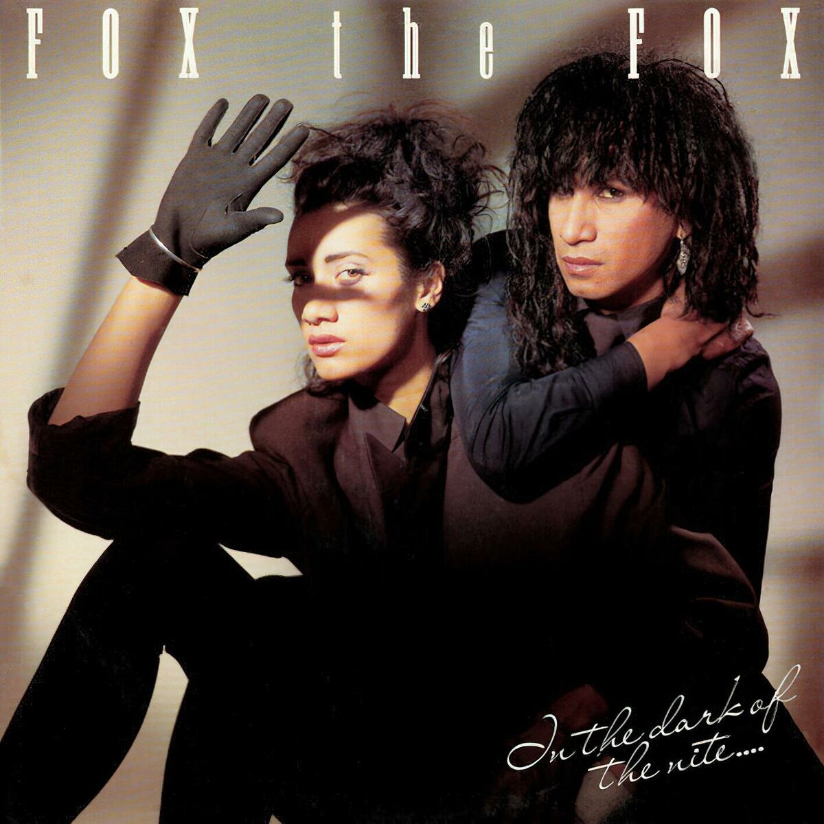 Album cover of In The Dark Of The Nite