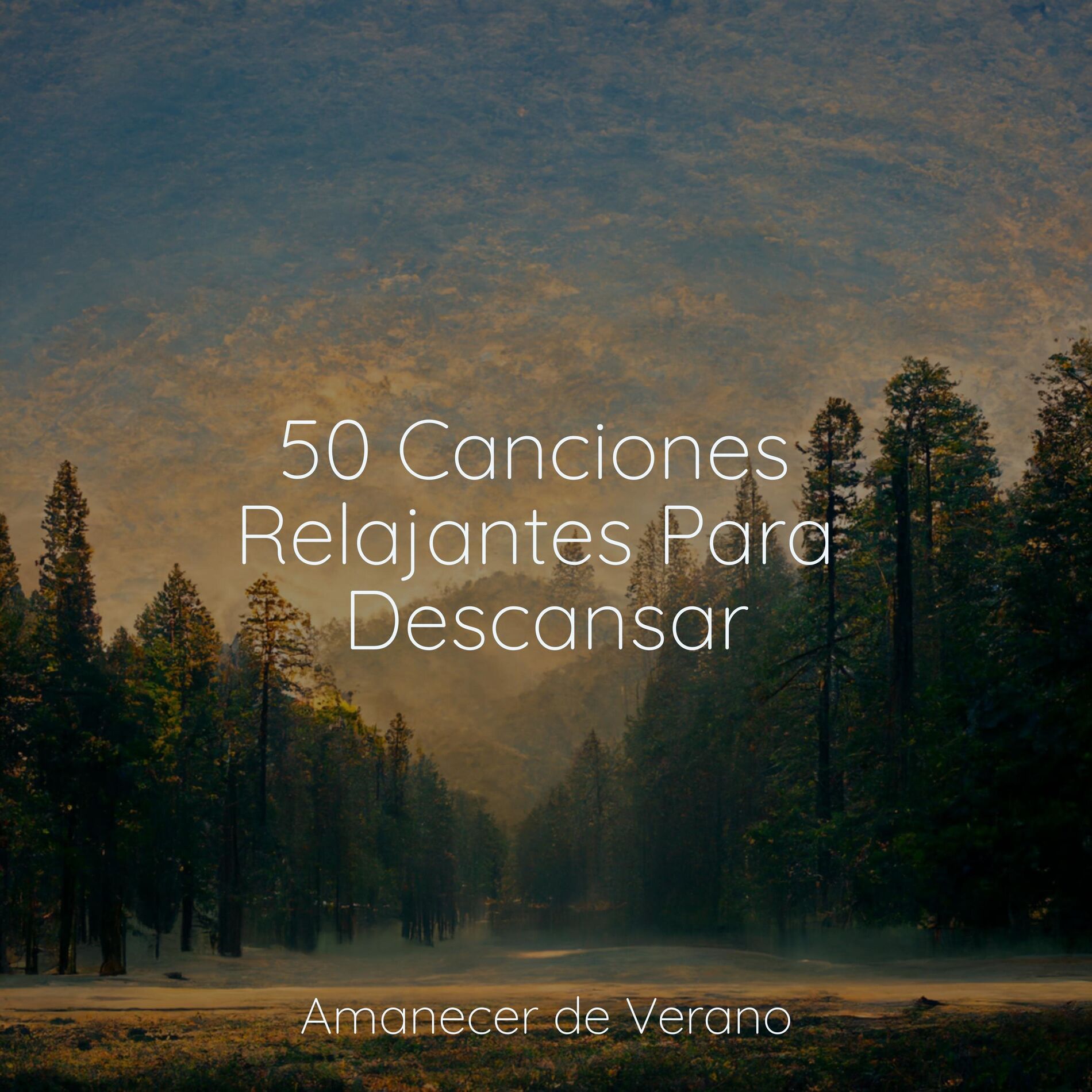 Album cover of 50 Canciones Relajantes Para Descansar