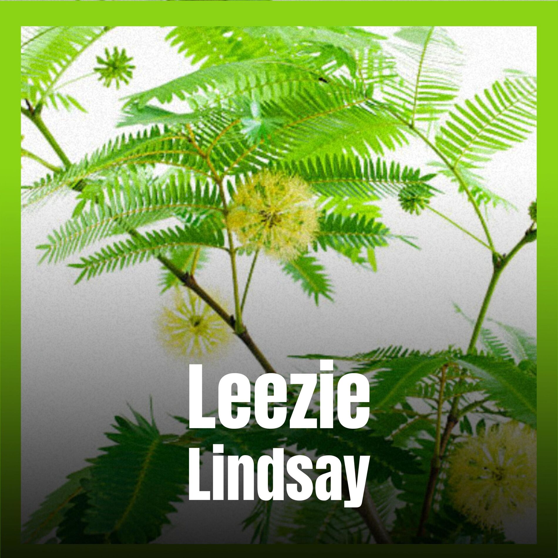Album cover of Leezie Lindsay