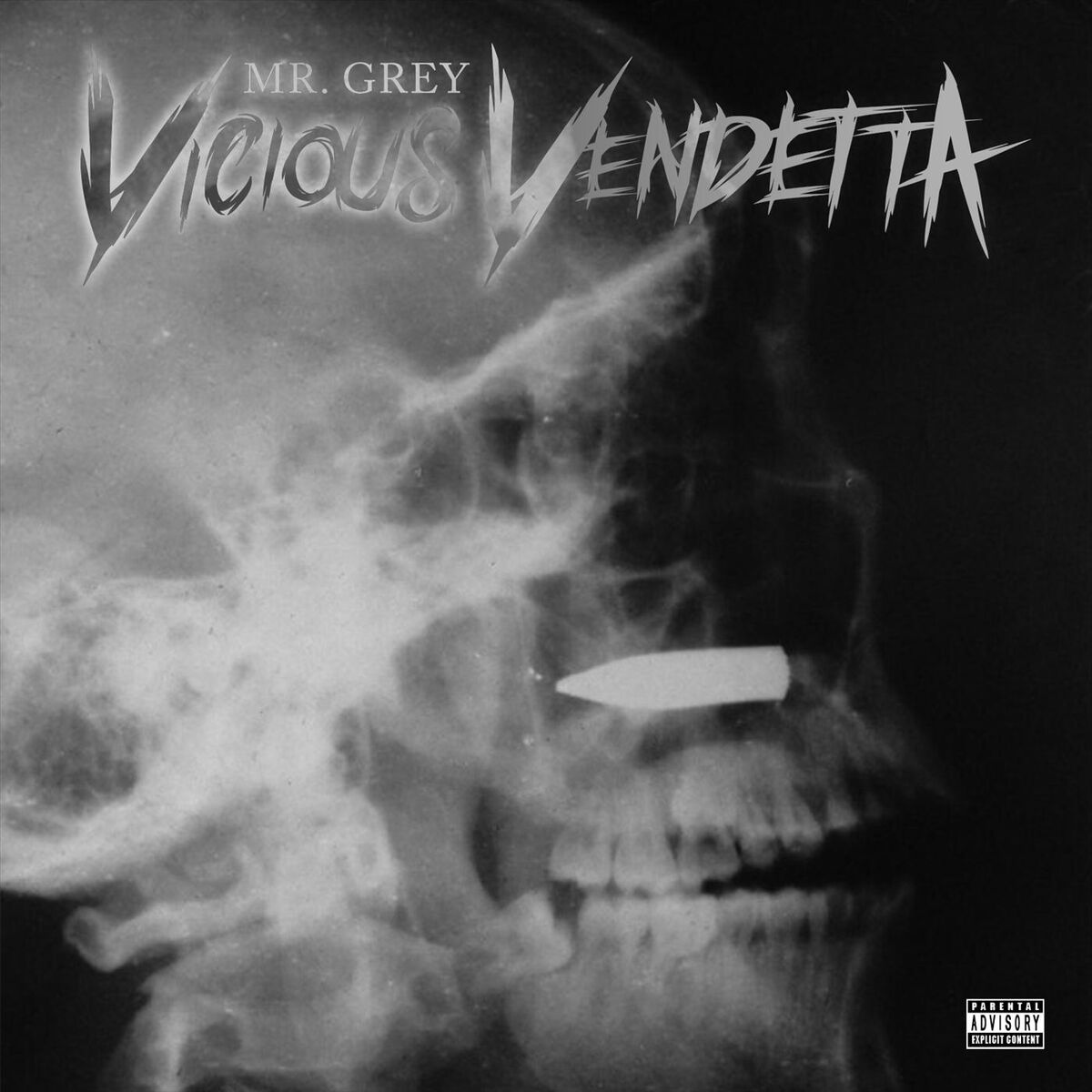 Album cover of Vicious Vendetta